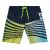 DC Μαγιό Boardshort EDYBS03096-BYJ0 Random 21'' - Βερμούδες Μαγιό στο Bodyman