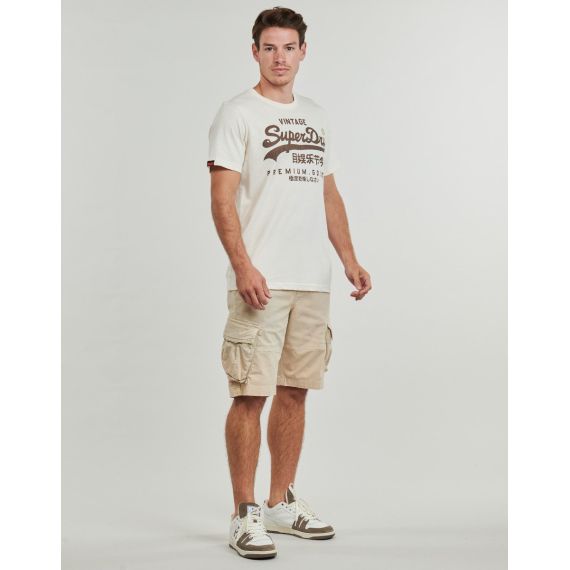 Superdry Ανδρικό Κοντομάνικο T-Shirt M1012110A-003 Workwear Relaxed Riff White - T-Shirt  στο Bodyman