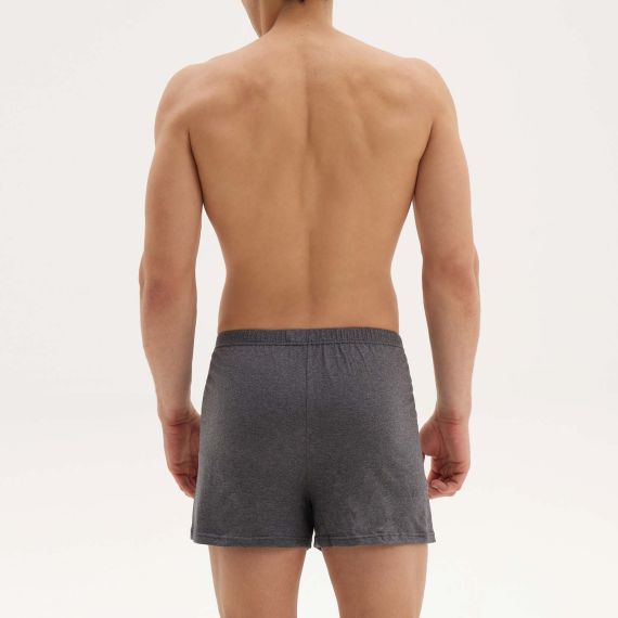 Apple Boxer 0110140 Anthracite - Boxer στο Bodyman