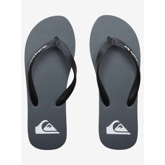 Quiksilver Ανδρικές Σαγιονάρες AQYL101325-SYJ1 Molokai Core Grey1 - ΣΑΓΙΟΝΑΡΕΣ στο Bodyman