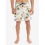 Quiksilver Ανδρικό Μαγιό Boardshort EQYBS04862-THQ6 Surfsilk Scallop 18'' - Βερμούδες Μαγιό στο Bodyman