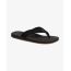 Billabong Ανδρικές Σαγιονάρες  MFOT1BAD-CHO All Day Impact Chocolate - ΝΕΕΣ ΠΑΡΑΛΑΒΕΣ στο Bodyman