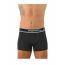 Apple Boxer 0110951 Anthracite Grey - Boxer στο Bodyman