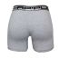 Apple Boxer Μακρύ πόδι 0110944 Grey Black - Boxer στο Bodyman