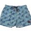 Bluepoint μαγιό 22015011-54 - Βερμούδες Μαγιό στο Bodyman
