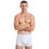 Walk Ανδρικό Boxer 2Pack W1761-1-0101 White - Boxer στο Bodyman