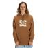 DC Ανδρικό Φούτερ EDYSF03261-CQF0 Star - ΝΕΕΣ ΠΑΡΑΛΑΒΕΣ στο Bodyman