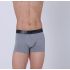 Apple Ανδρικό Boxer 0110963 Grey ML Black Metalize - Boxer στο Bodyman