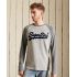 Superdry T-Shirt M6010608A-ZUC VL AC RAGLAN TOP Grey - Mακρυμάνικες στο Bodyman